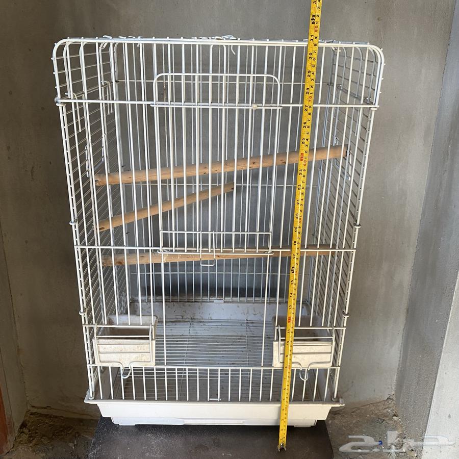 Cages for songbirds and canaries64371803563779112