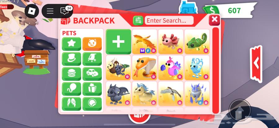 متجر أودبت مي ارخص الحيوانات موجود عندنا64365806584706111