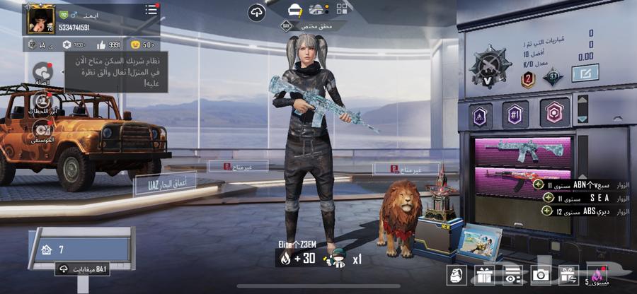 حساب ببجي للبيع بيعه مستعجل الصامل خاص64364981744769114