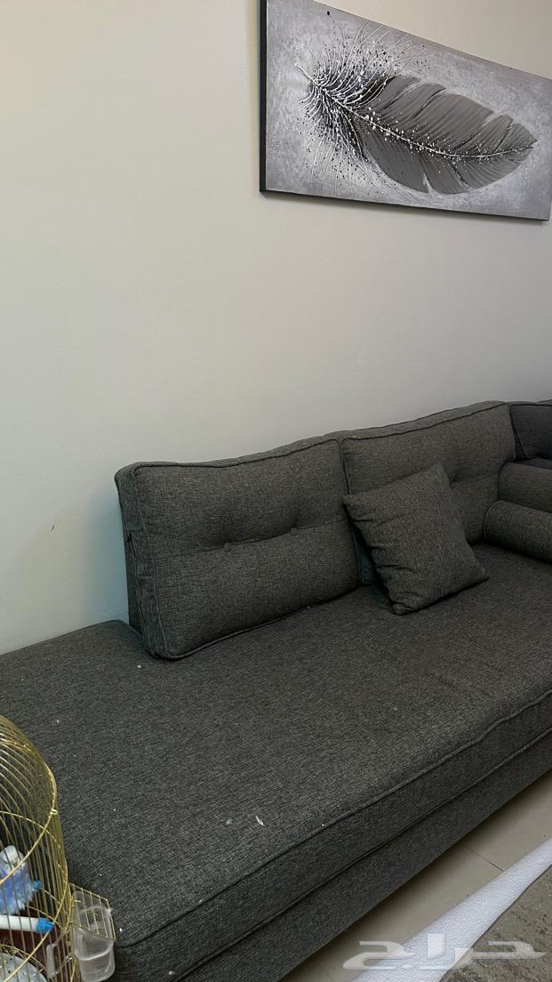 كنب وديكورات64377034170113110