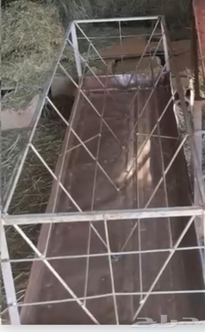 مطلوب مناقل64370655084930111