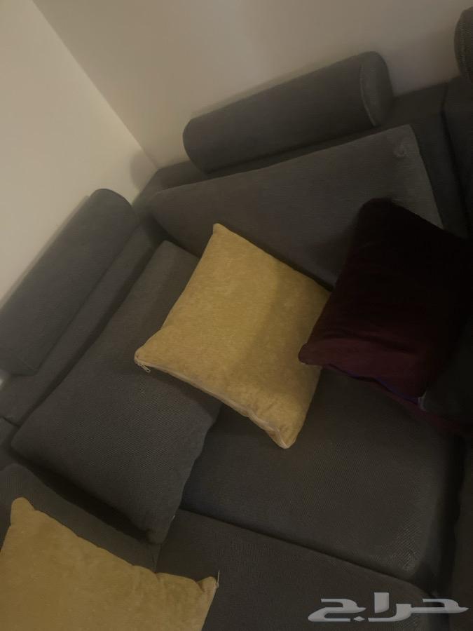 كنب صاله64373477640065112