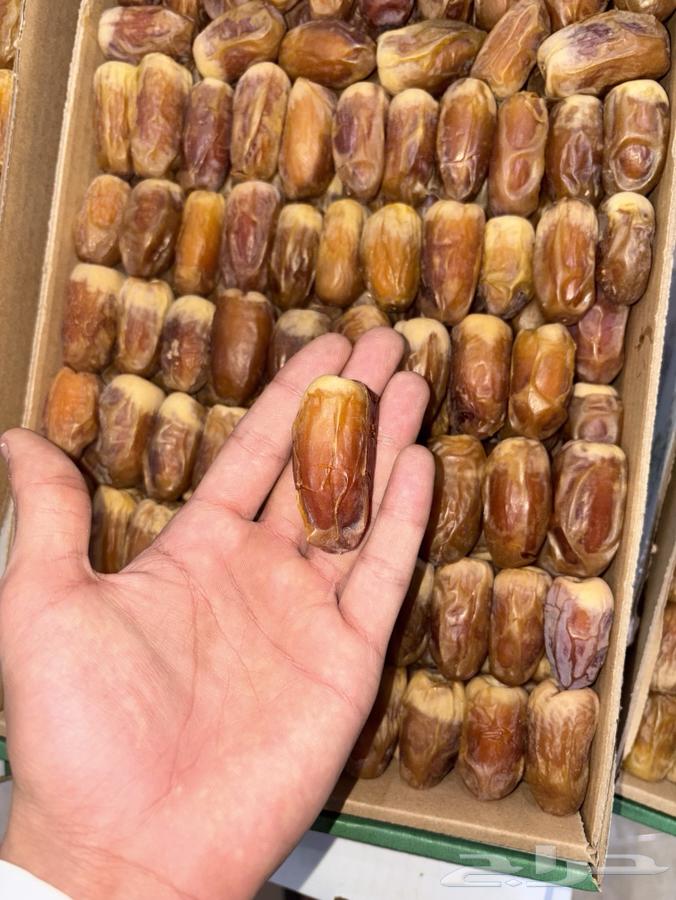 تمر - صقعي القصيم منطقه البيع حايل64363502624259111