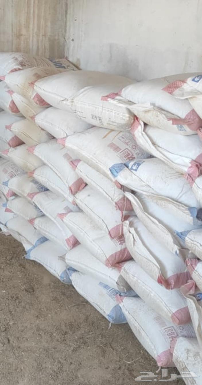 Fattening Feed64362620142466111