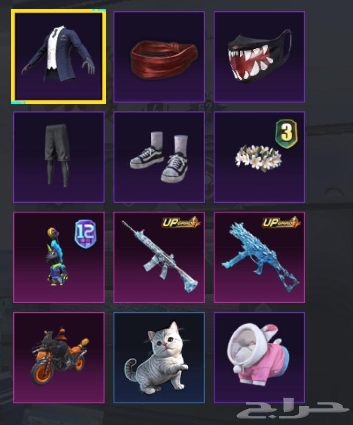 حساب ببجي فخم64367011349889112