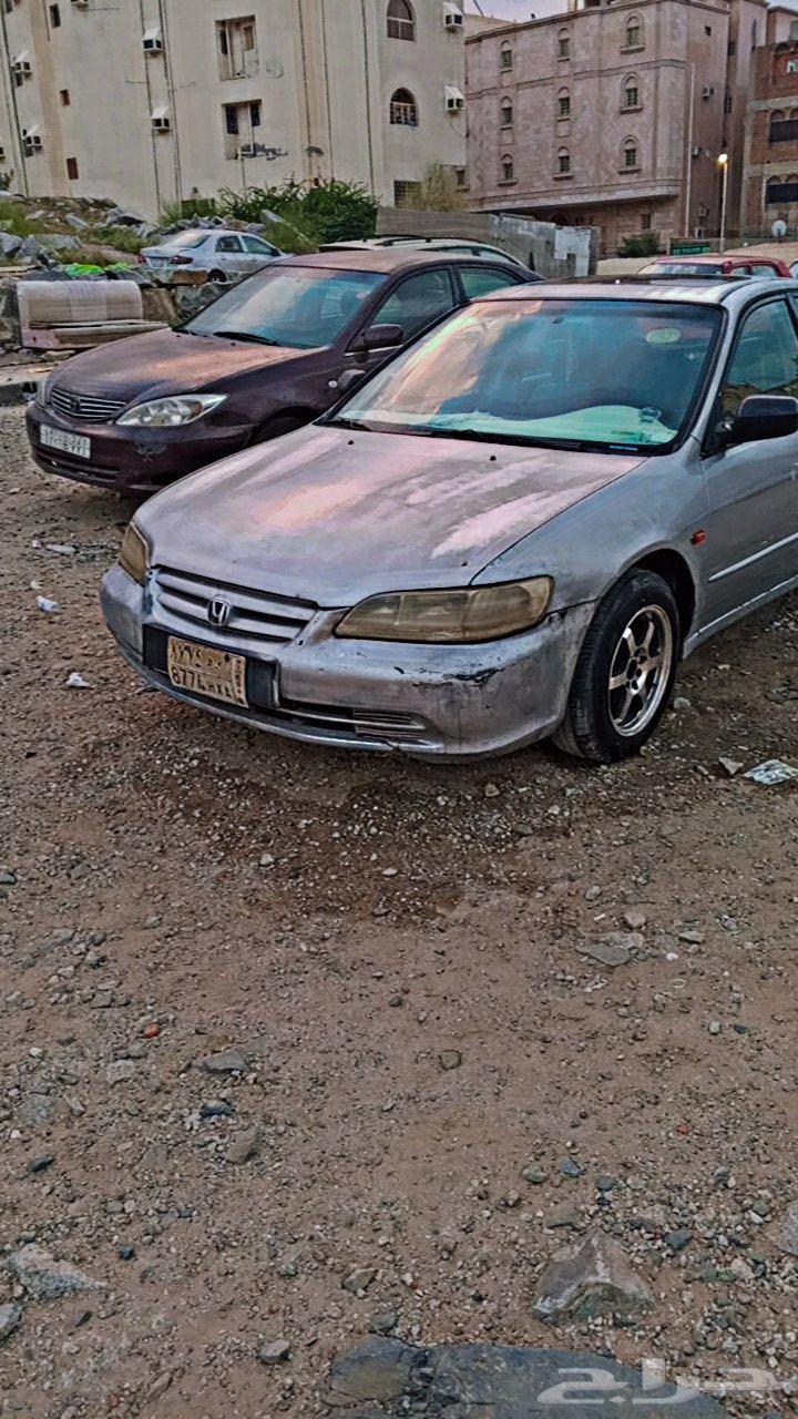 Jenot for selling Accord 200264518436636931110
