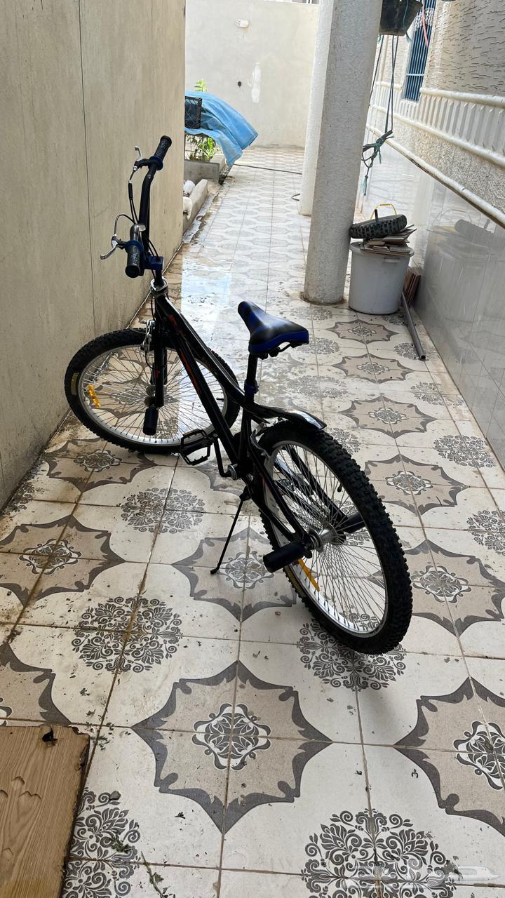 Cobra bicycle64376870094594110