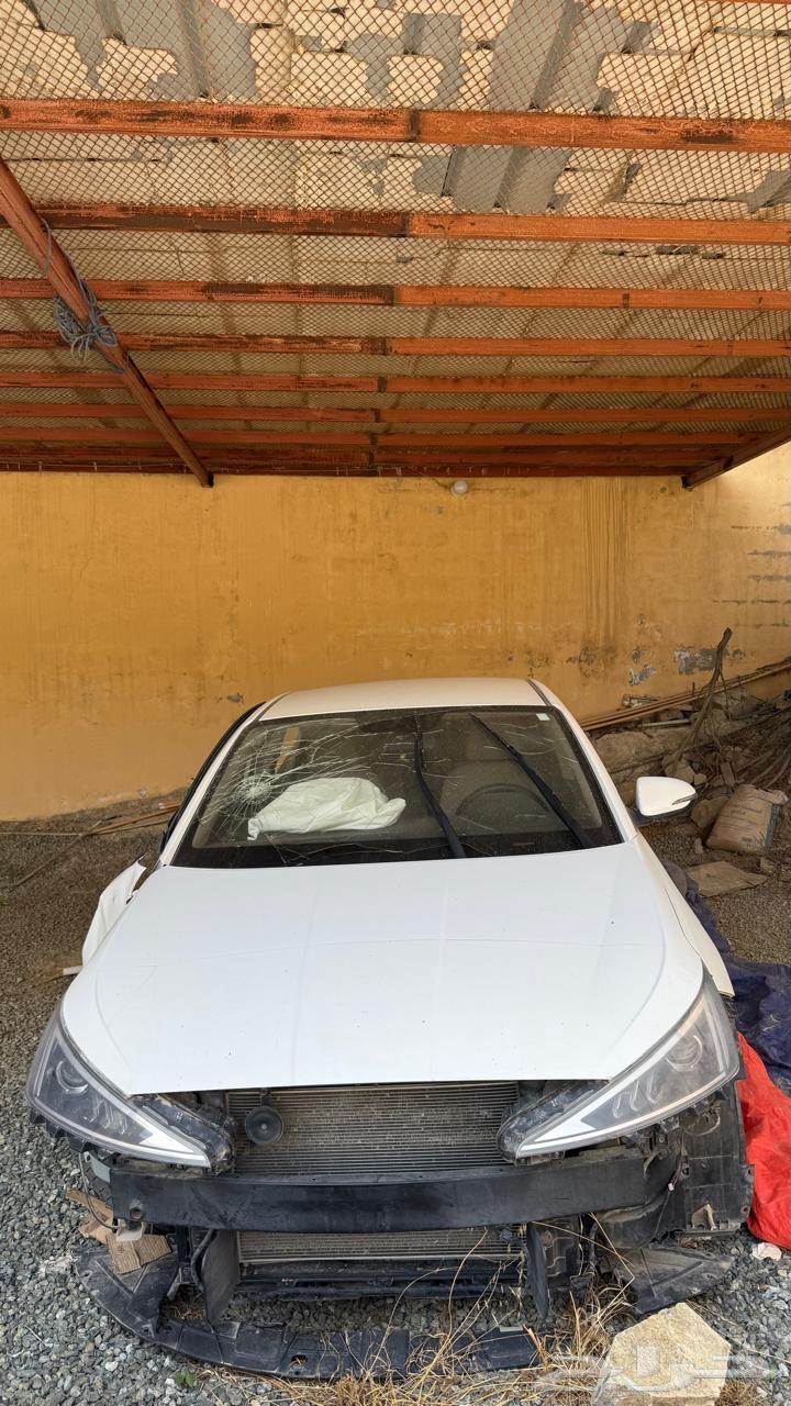 النترا 2019 نص فل خليجي64516452905219114