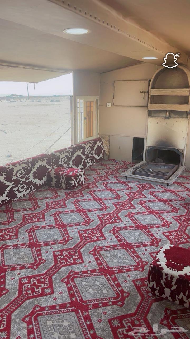 كرفان شينكو سحب الطول 11م64515667809666110