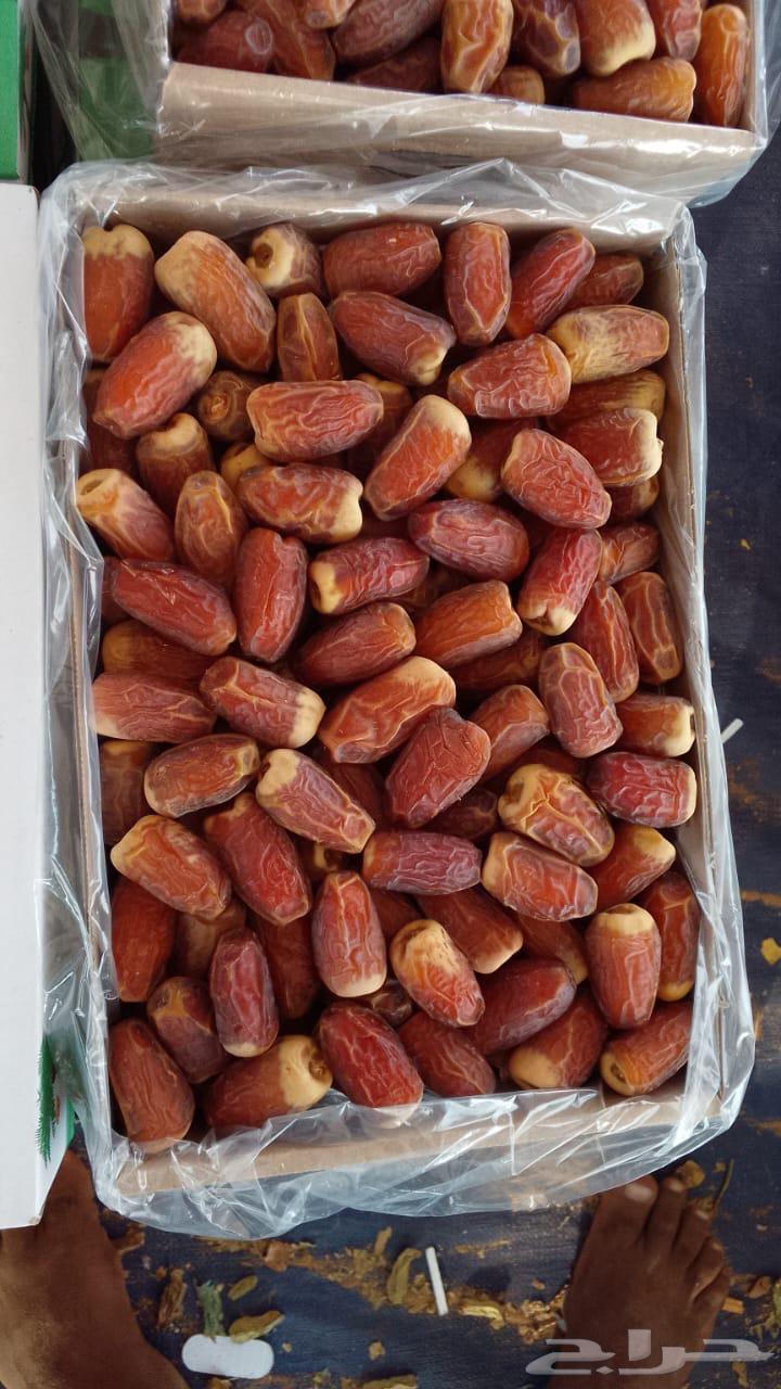 صقعي مبروم اقل كميه 10 كرتين الكرتون 3 كيلو64370842074243110