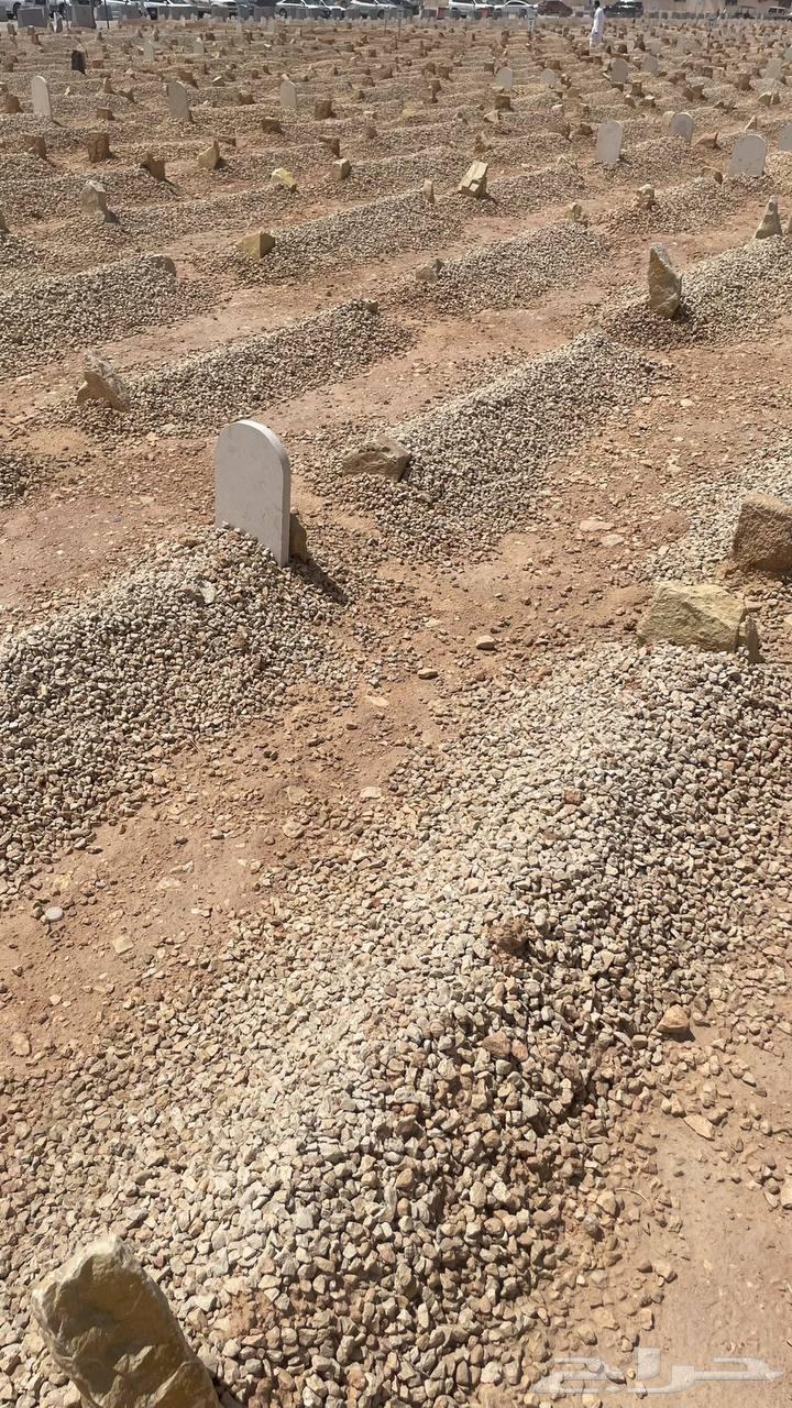 احتاج موار اقصاد الله يبيض وجيهكم64509672759169110