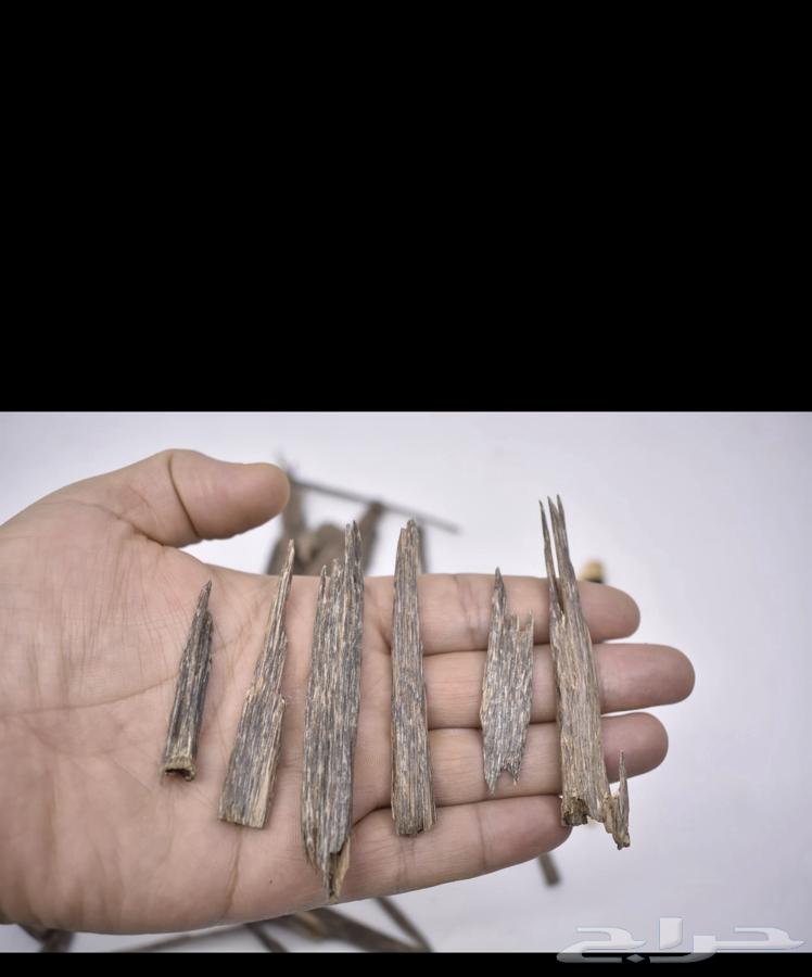 خشب عود طبيعي64373890980737111