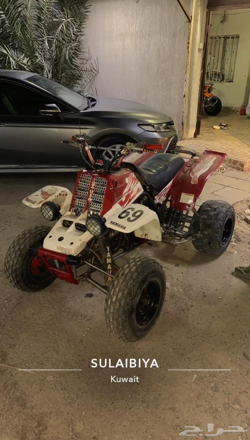 للبيع بانشي 200564512483005442110