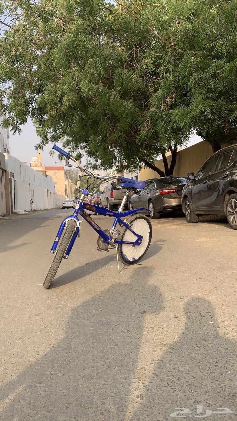 سيكل كوبرا64363279389953114