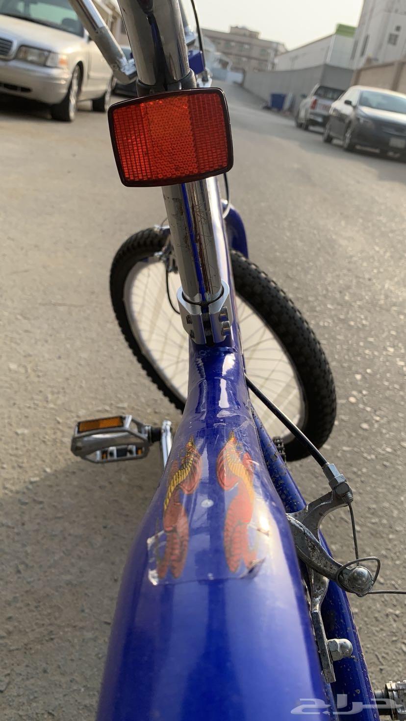 سيكل كوبرا64363279389953112