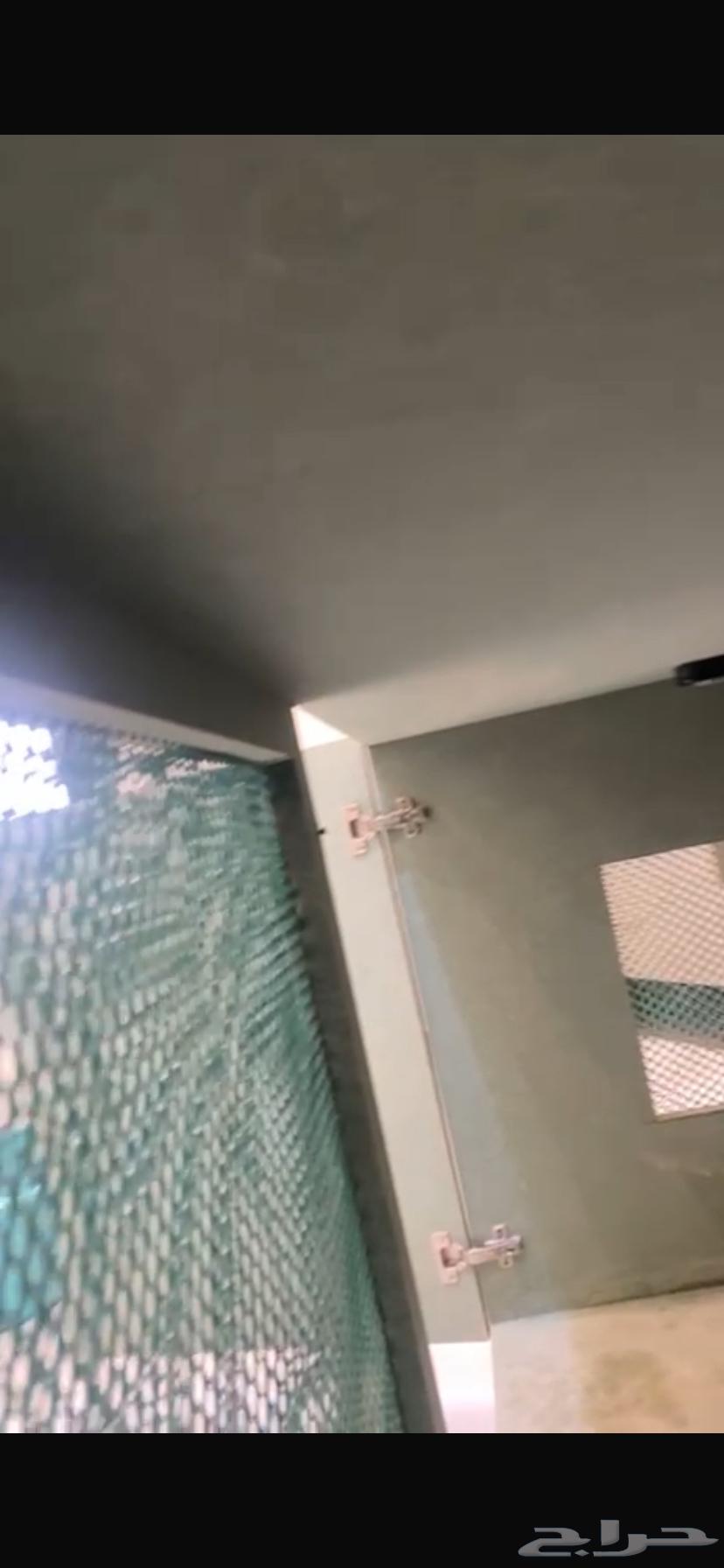 قفص قطط64368995525763113