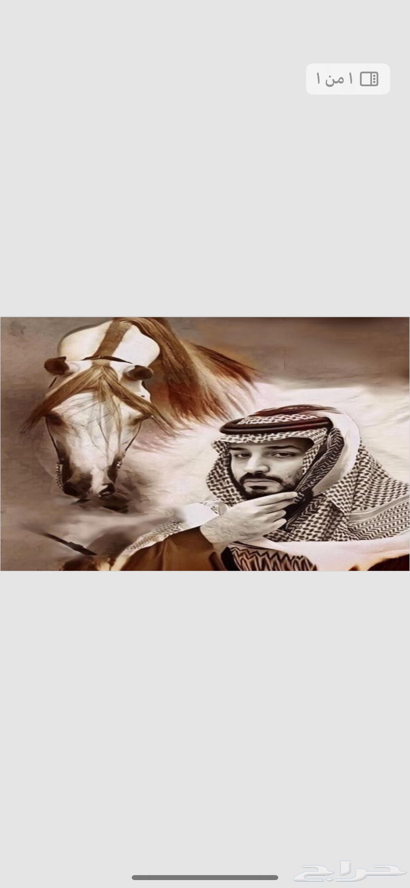 استكرات اليوم الوطني لجميع السيارات والمحلات64368557499010114