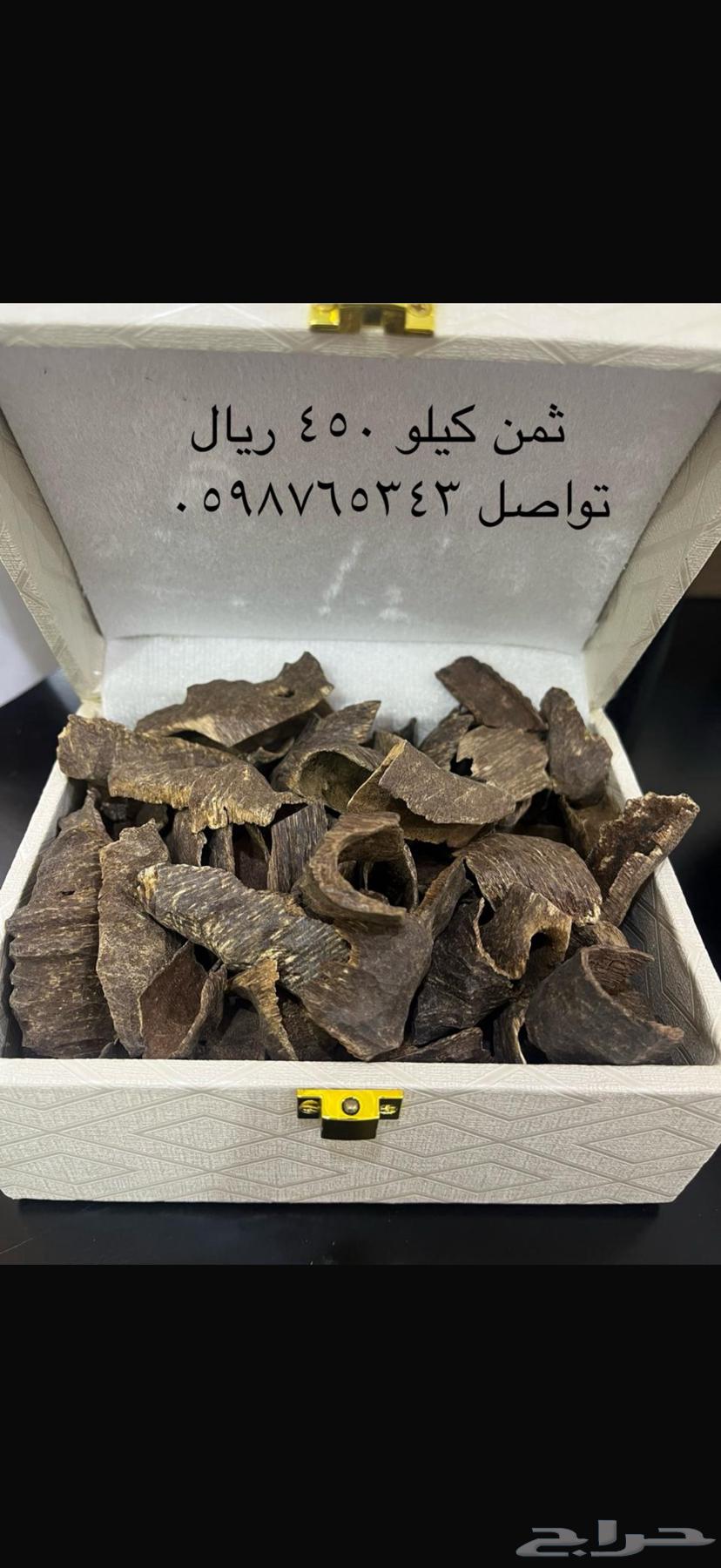 عود طبيعي64363487498115111