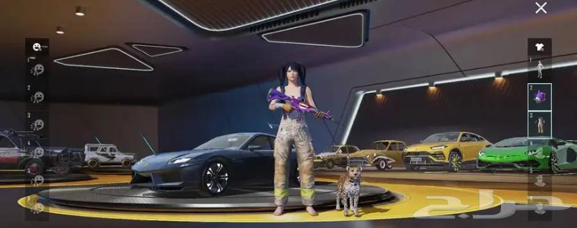 حساب ببجي البيع مستعجل64376229843714112