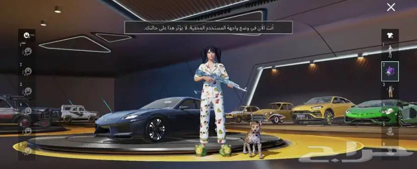 حساب ببجي البيع مستعجل64376229843714113