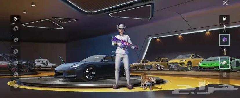 حساب ببجي البيع مستعجل64376229843714114