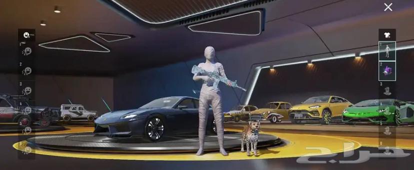 حساب ببجي البيع مستعجل64376229843714111