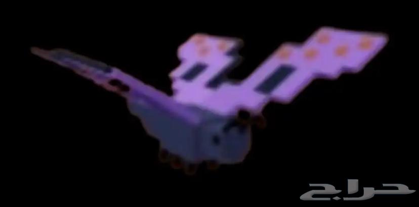 فراشه قرو ا قاردن ماب المزرعه ارخص سعر 18 ريال64369513430275110