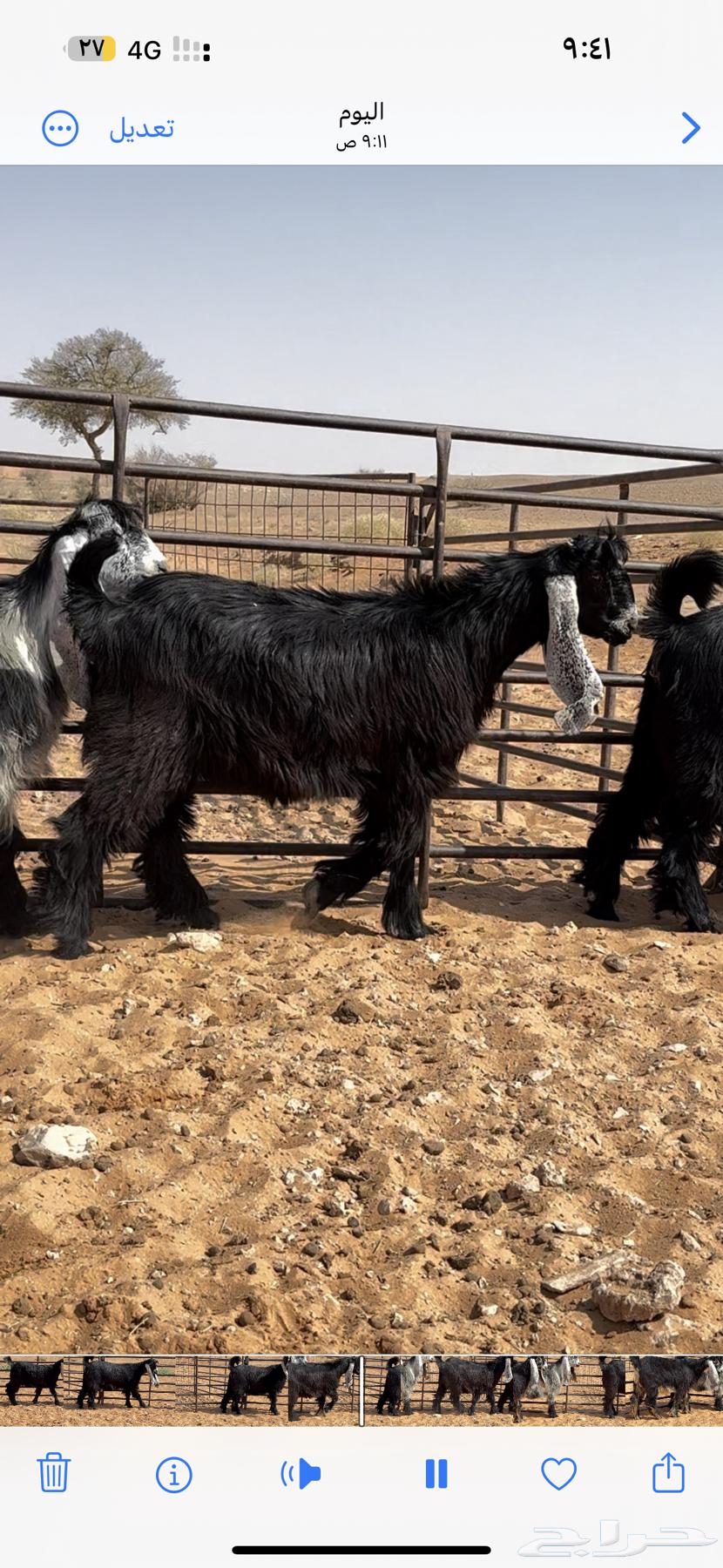 للبيع جفرات عوارض64353284983297112