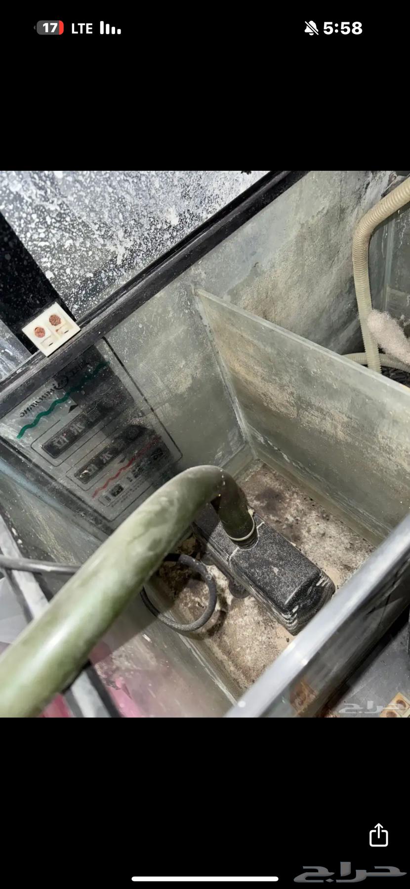 حوض سمك 120cm للبيع مستعجل64372052936833112