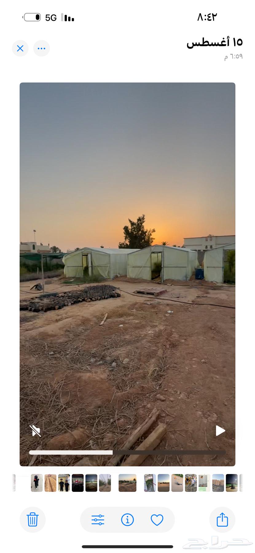 للبيع بيوت محميه64374612796034111