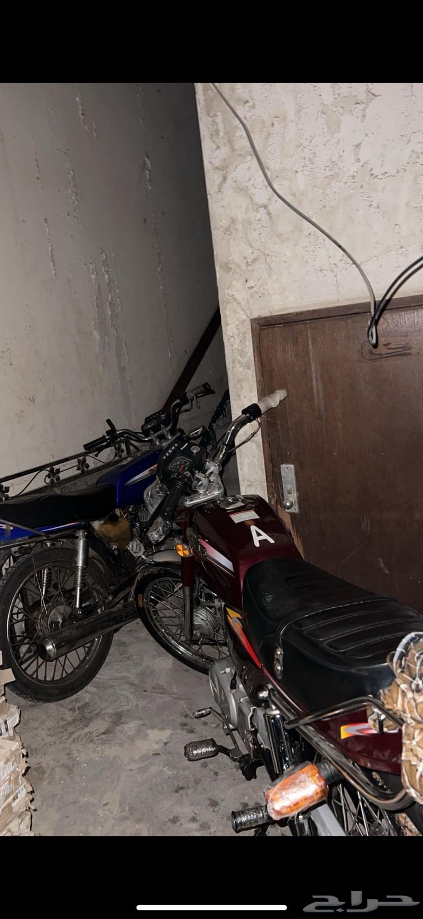 دباب AX100 جنشي عنابي 1564517090755841110