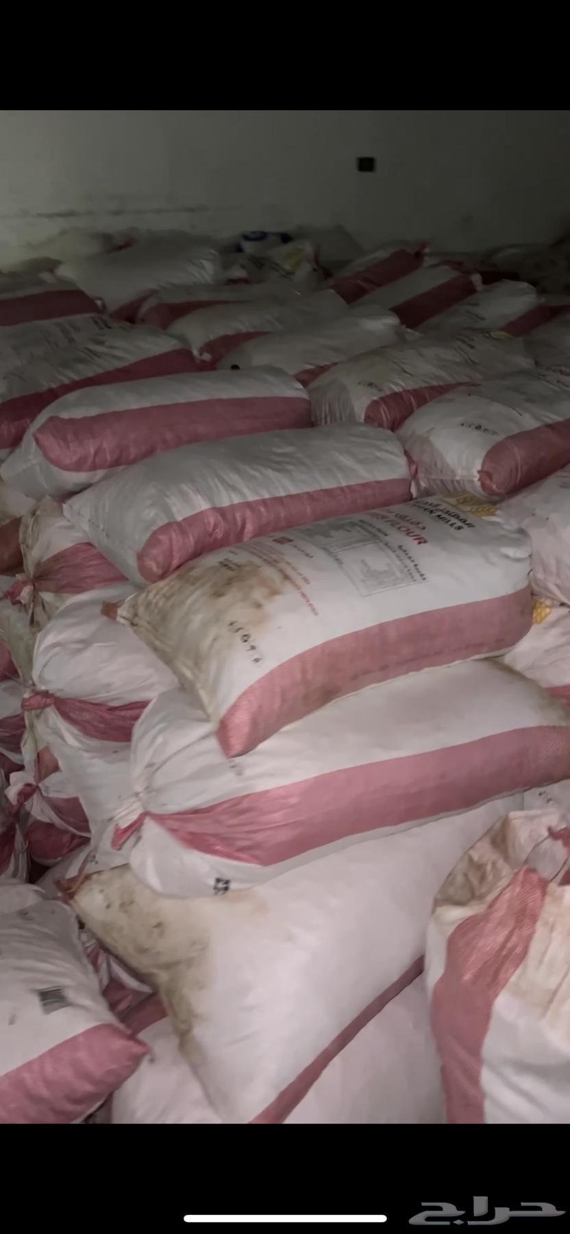 Excellent Halal Dates64374245012866112