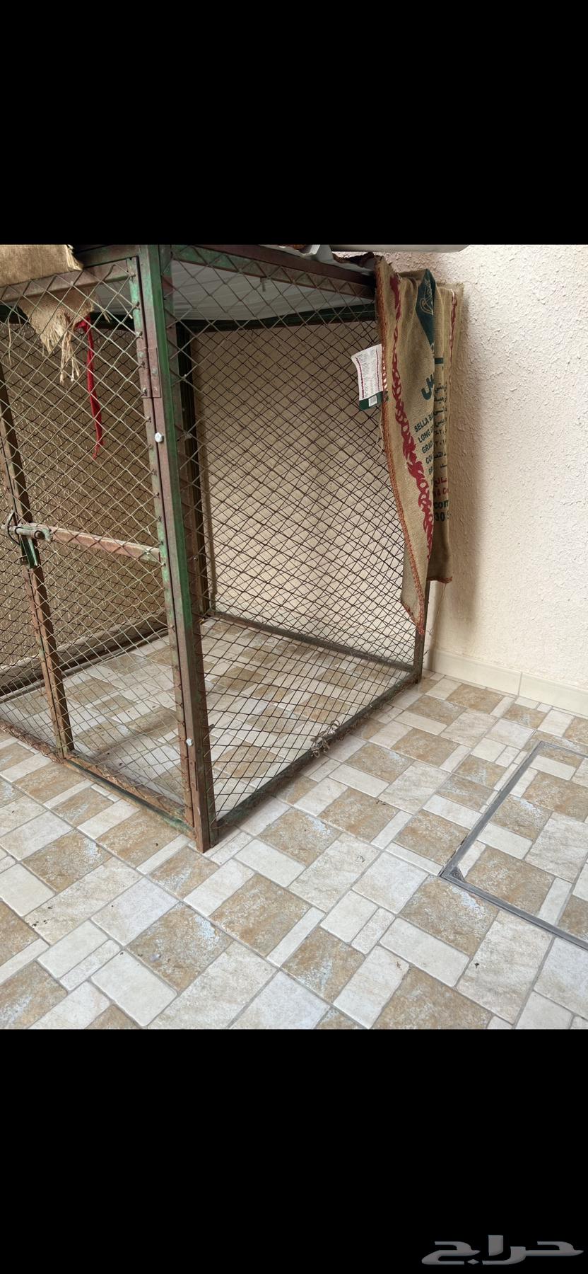 Mesh one meter by one meter64368922594563111