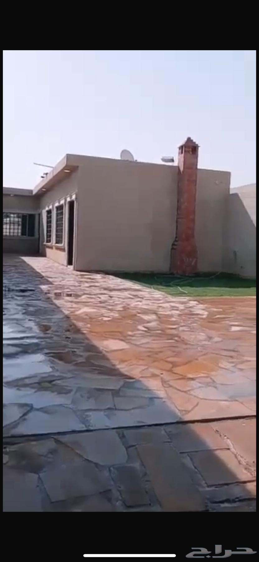 استراحة سنويه للتقبيل64373388477315110