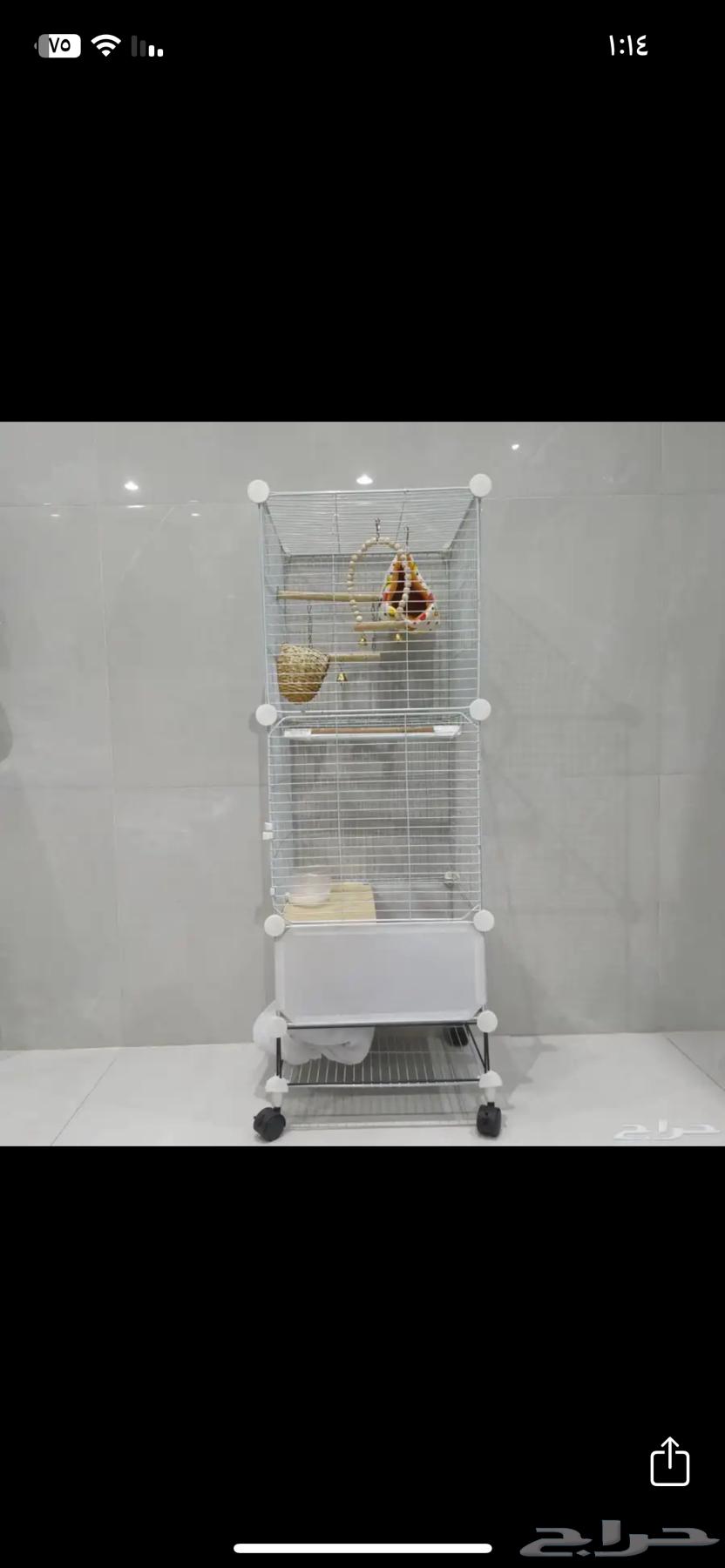 قفص عصفور64363174489601112