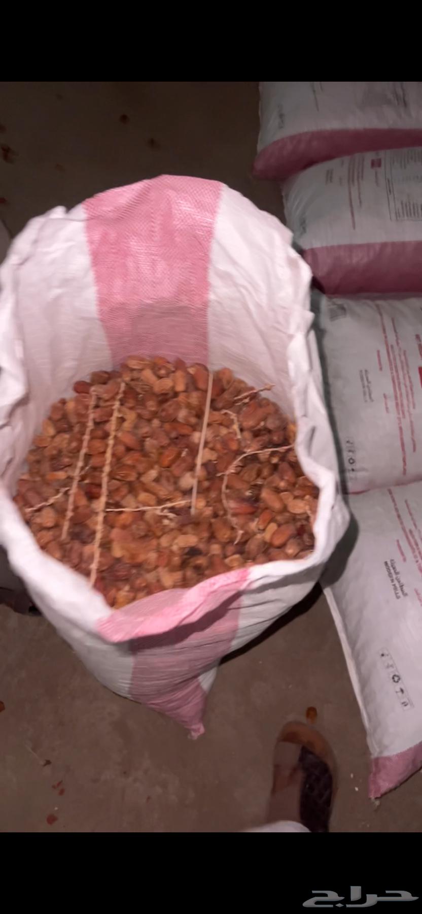 Excellent Halal Dates64374245012866111