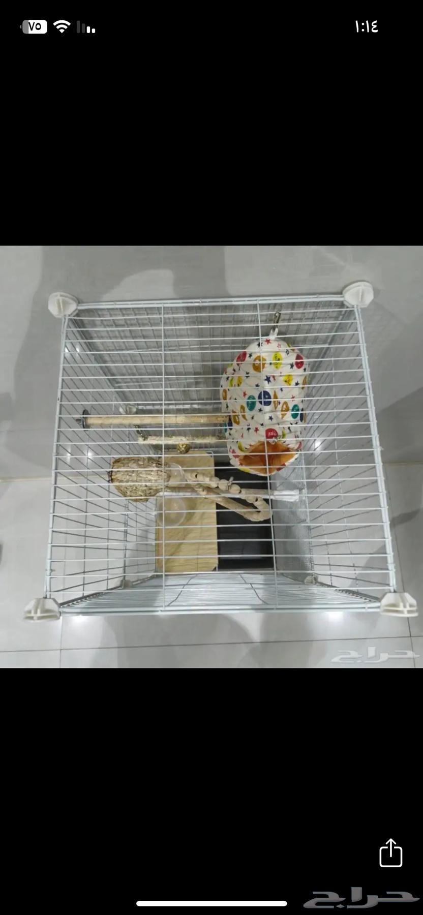 قفص عصفور64363174489601110