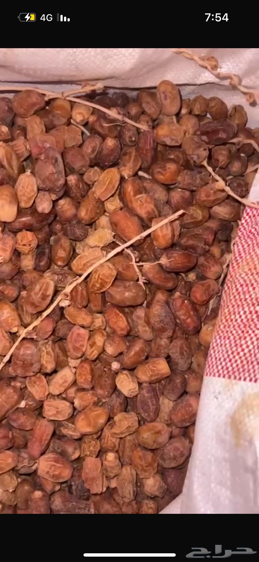 Excellent Halal Dates64374245012866110