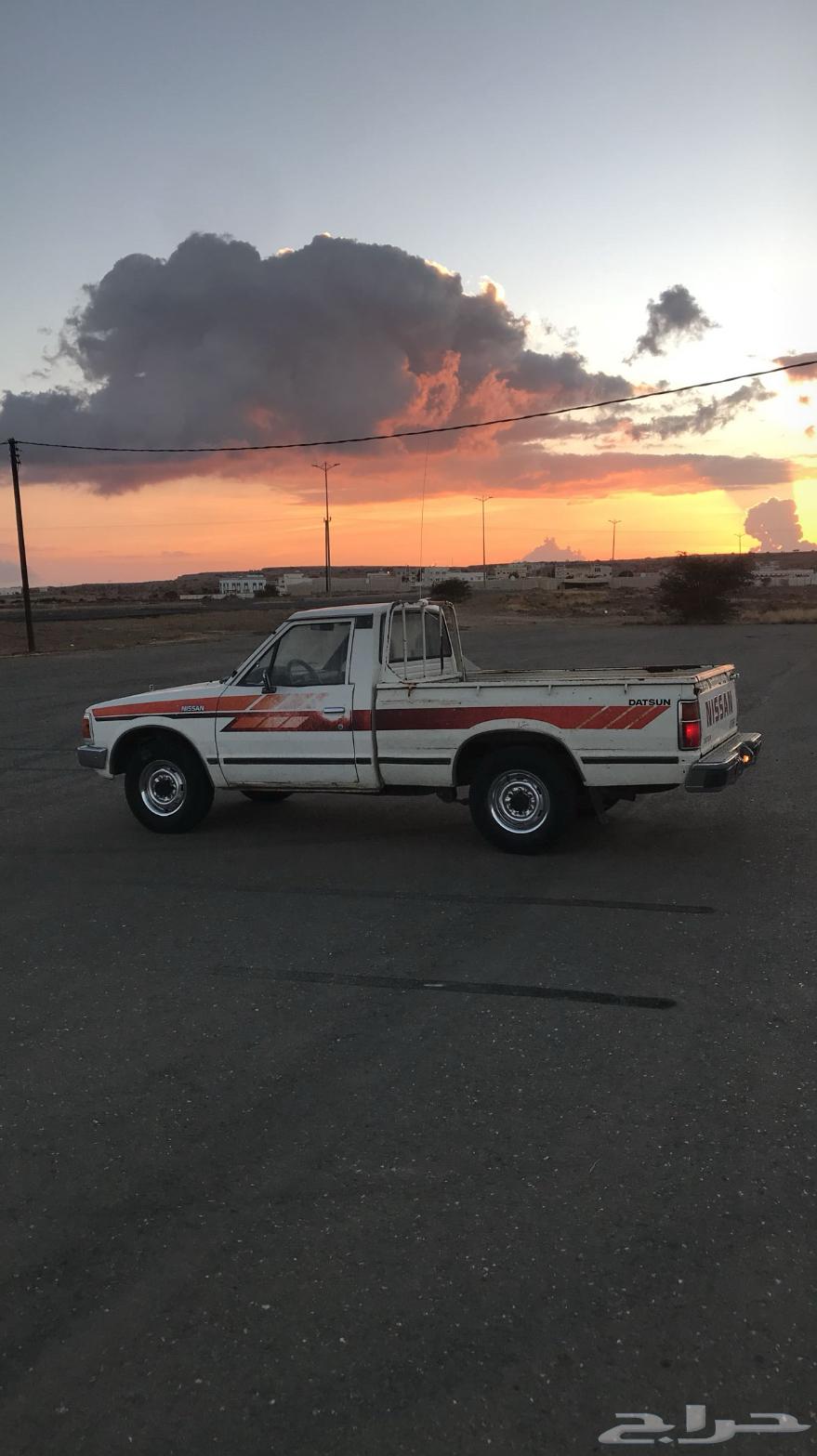 ددسن 85 وكاله شد بلد64519737662851110