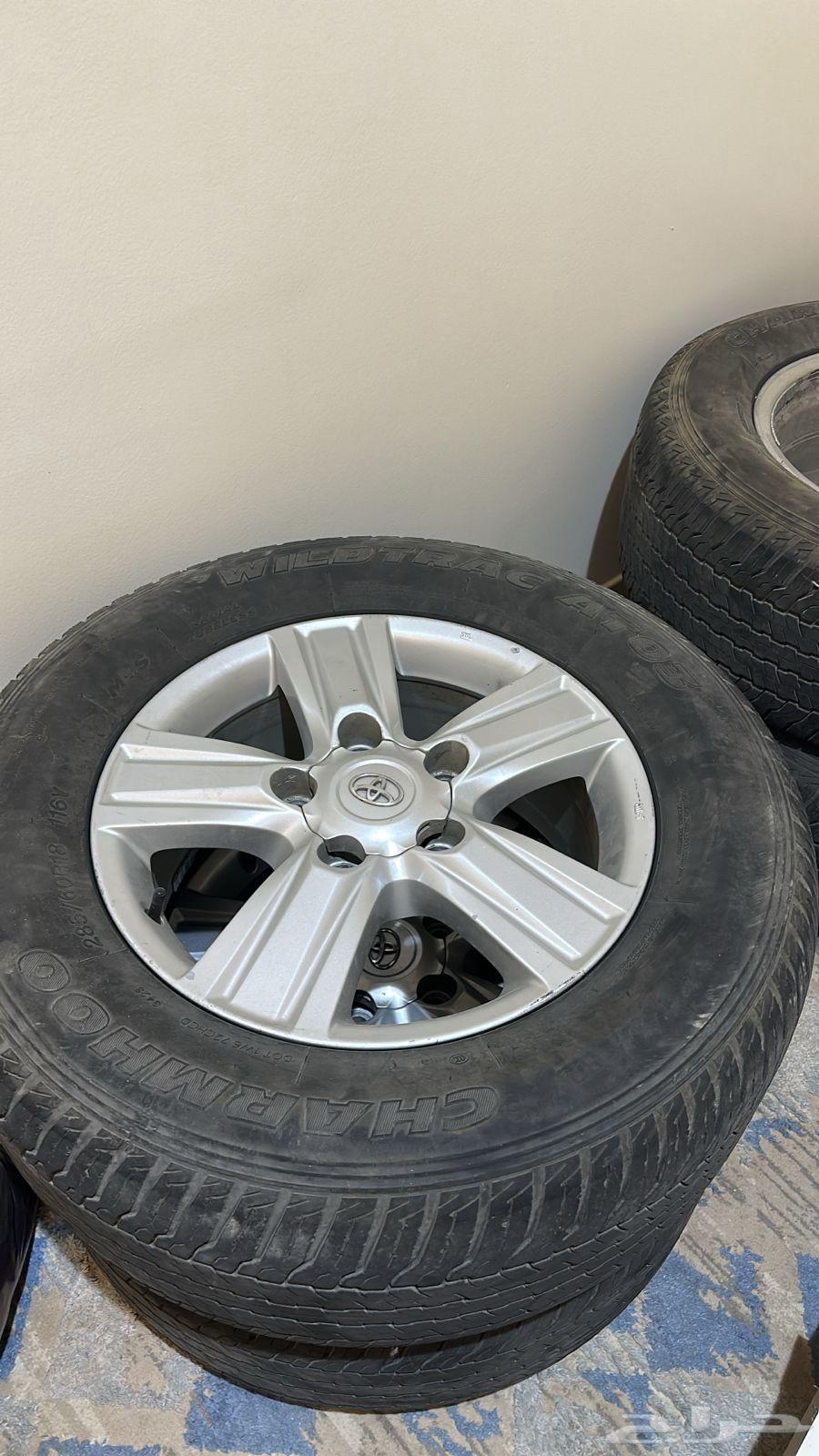 جنوط جيب جكسار 201464515933510147111