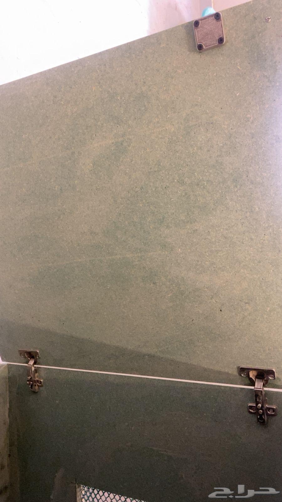 قفص قطط64368995525763112