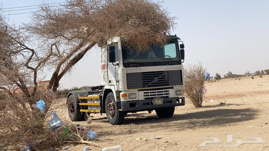 فلفو للبيع64511801199490111