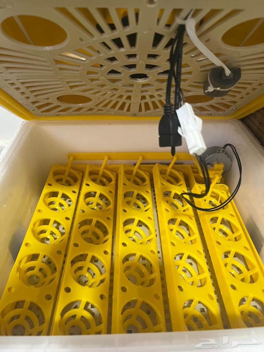 للبيع فقاسه بيض شبه جديدة64223805733507111