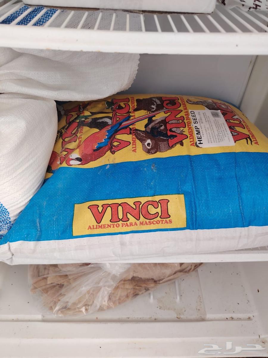 كيس قمبز 20 كيلوا64375244793089110