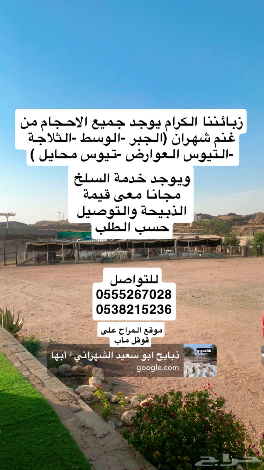 Abu Saeed Al-Shahrani's Slaughters64384409873026112