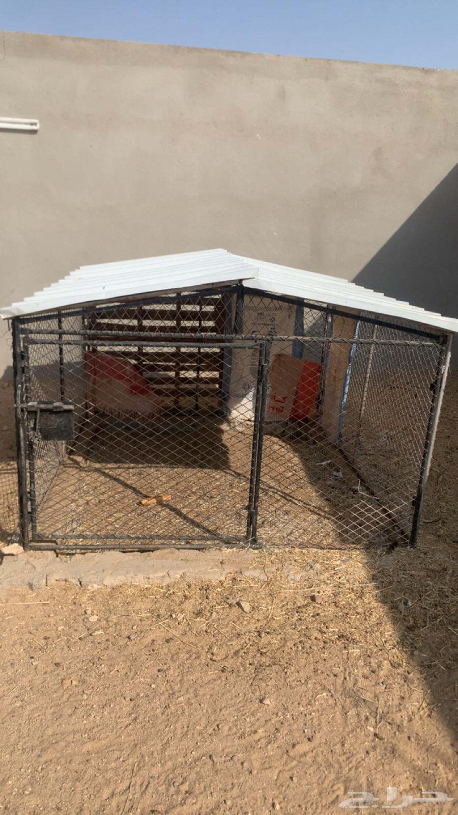 للبيع شبك64526982874498112