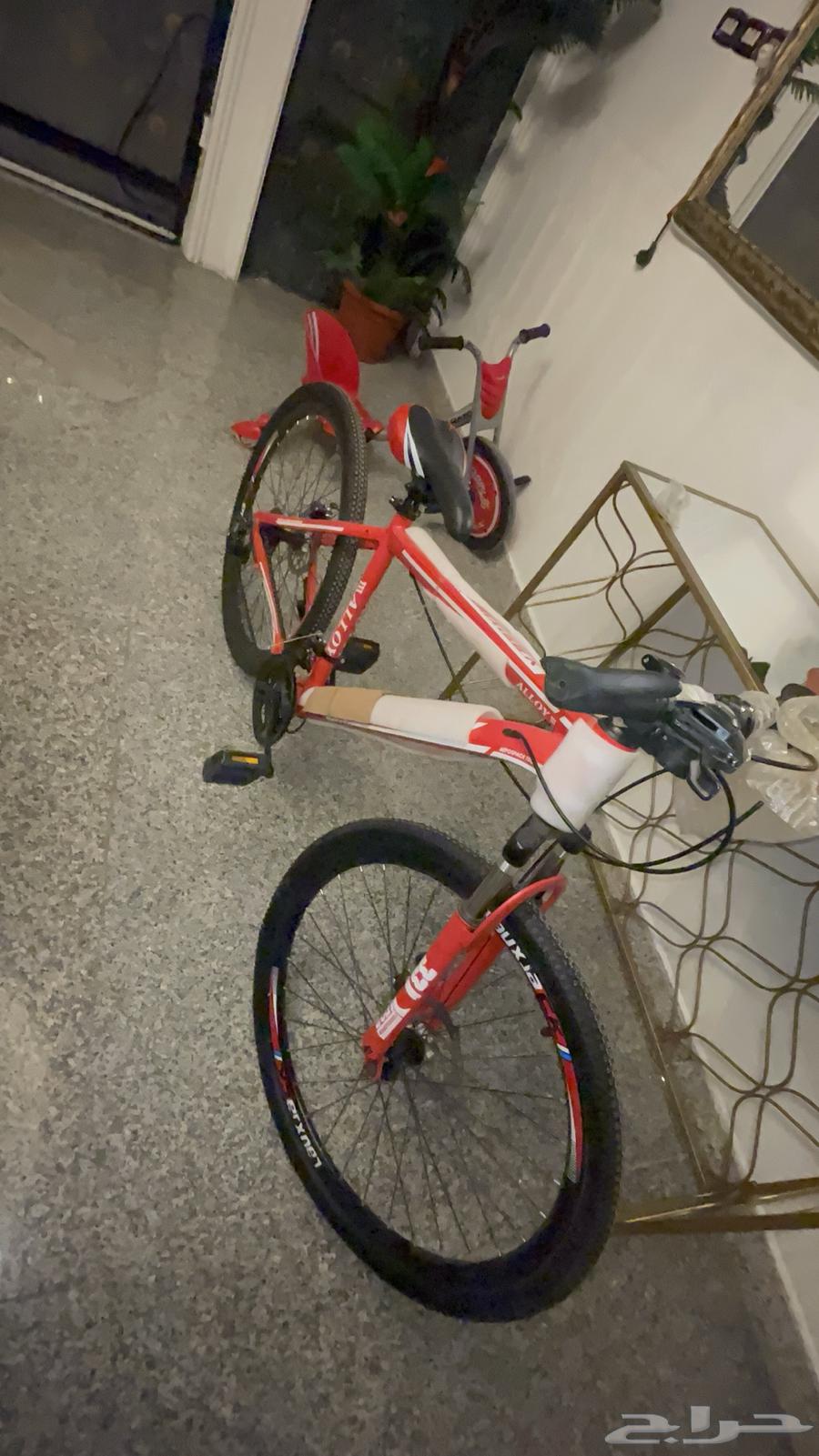 دارجة والله جديدة64377447186433110