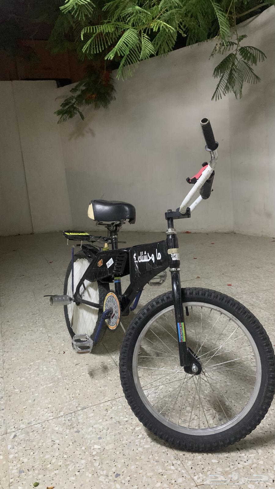 سيكل رامبو64380008417539111