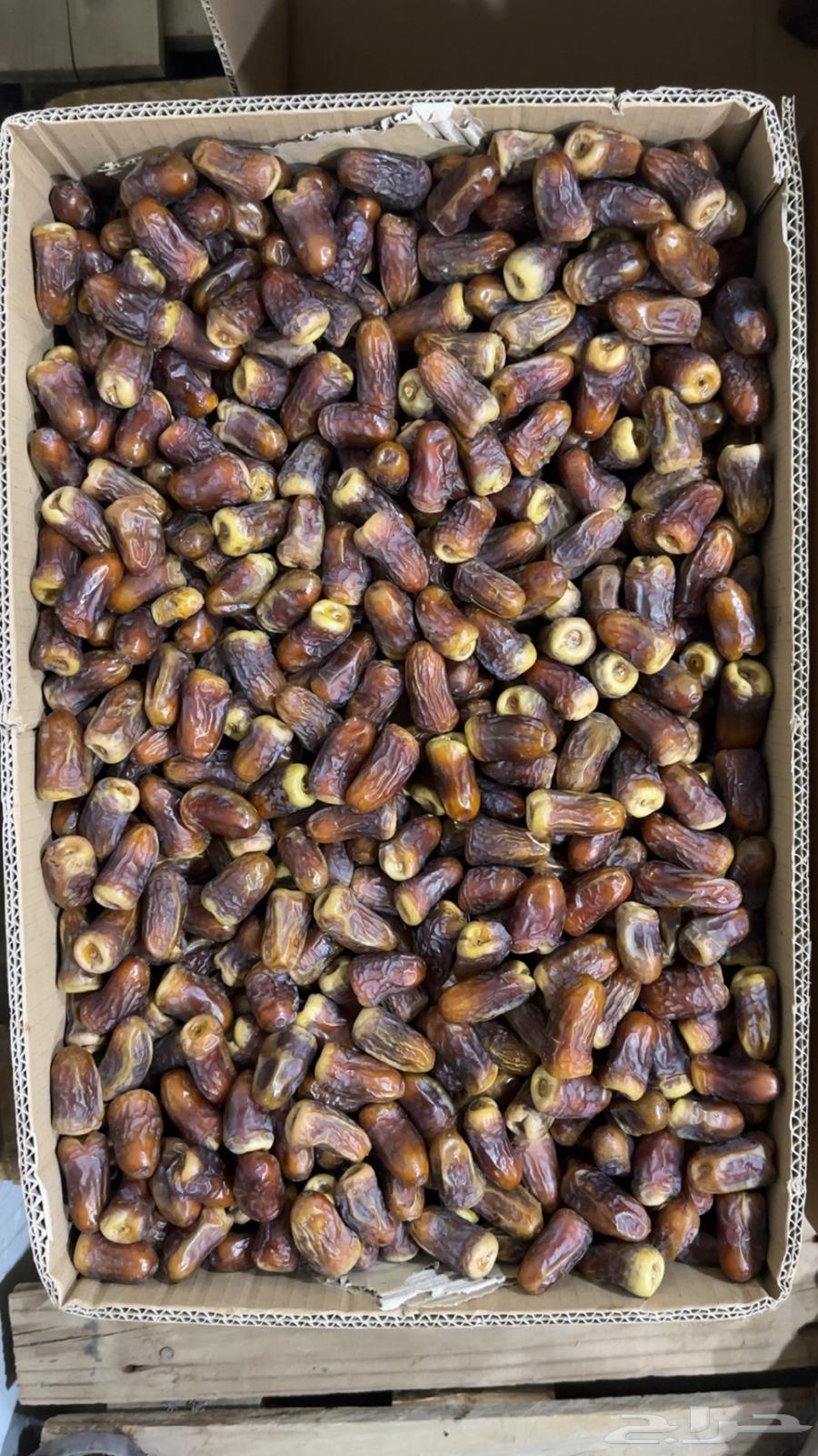 برني العيص64390747757699111