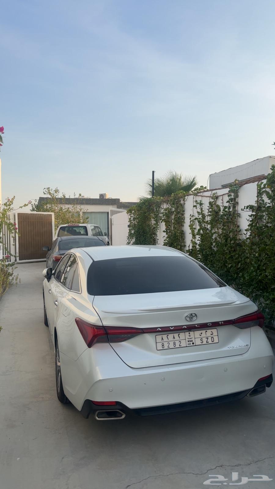 Avalon 2020 Tournament64524642679938112